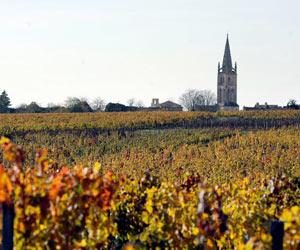 Saint-Emilion Grand Cru